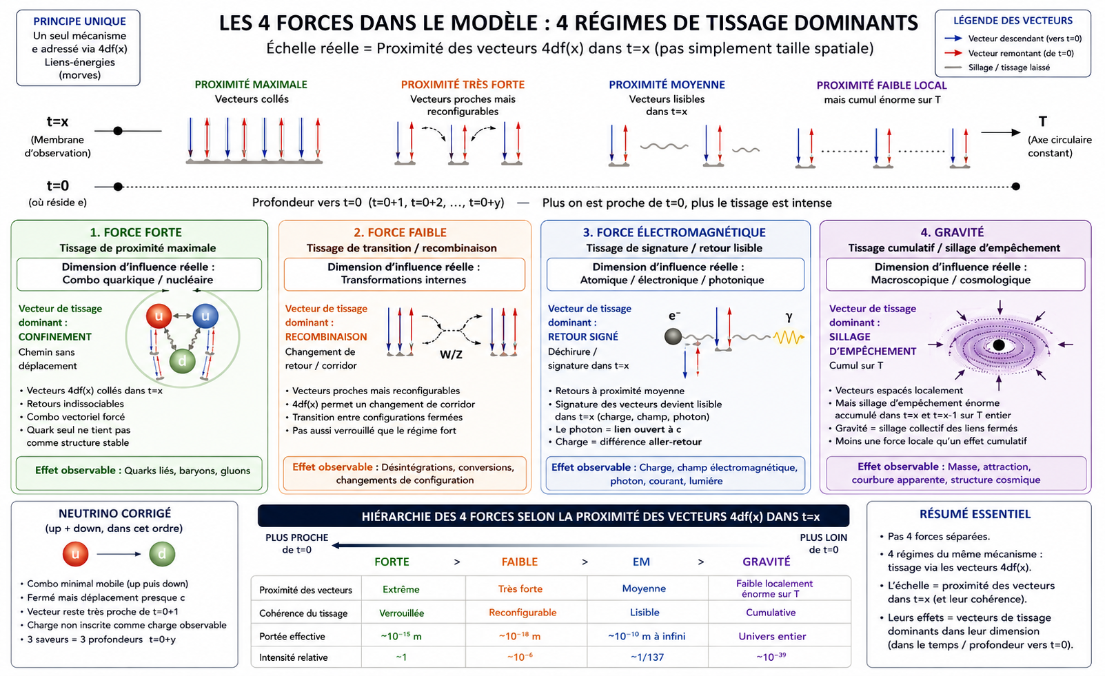 Les 4 forces dans le modèle : 4 régimes de tissage dominants
